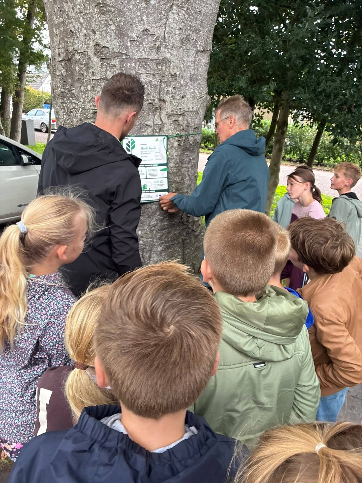 Beukenboom Boornbergum Tree tag