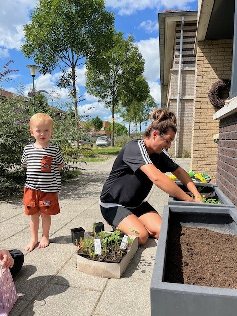 Foto 4 bij artikel Actief geveltuinen Leeuwerikstraat 3 juli 2025