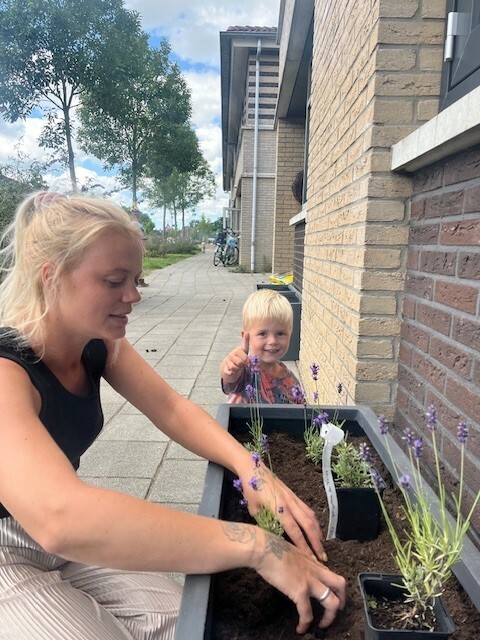Foto bij artikel Actief geveltuinen Leeuwerikstraat 3 juli 2025